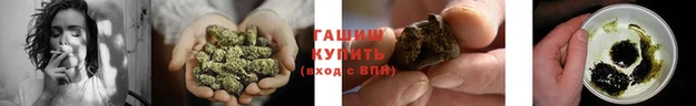 mdpv Богородицк