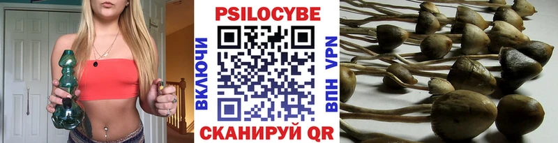 Галлюциногенные грибы Psilocybe  Дивногорск 